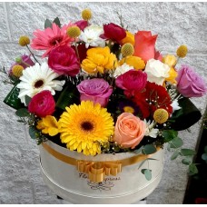 Large Assorted Box